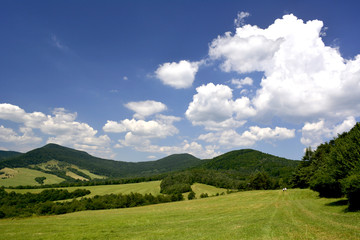Summer landscape in mountains with green meadows and forested hills under blue sky with clouds, Low...