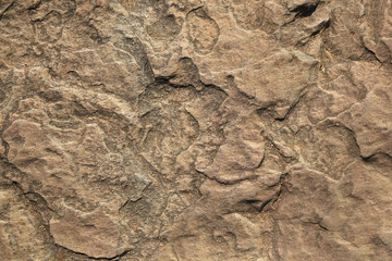 brown stone texture.