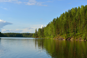 Fototapeta na wymiar Forest on bank of lake