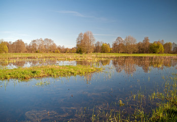 Spring flood meadows, landscape