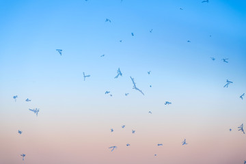 Beautiful ice on window and sunlight on plane winter glass