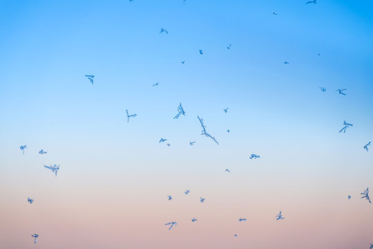 Beautiful ice on window and sunlight on plane winter glass