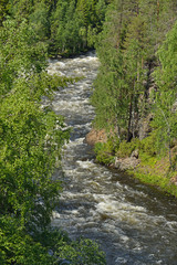 Fototapeta na wymiar Park in Northern Ostrobothnia and Lapland regions of Finland