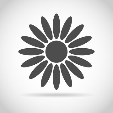 Flat daysi - vector illustration.