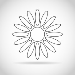 Flat daysi - vector illustration.