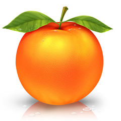 Oranges