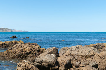 Rocky foreshore at Breaker Bay  at entrance to  Wellington Harbo