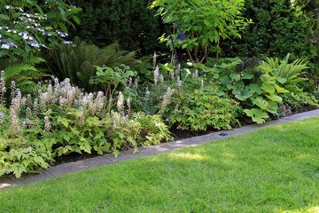 Perennial park garden