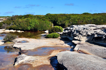 Australian bush walking