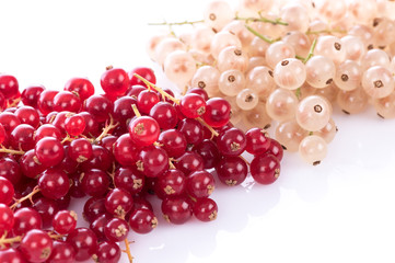 Fresh red and white currants