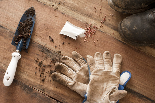 Wood Floor Strewn With Gardening Supplies