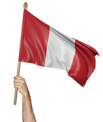 Hand proudly waving the national flag of Peru