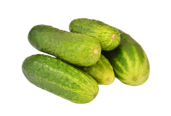 Green cucumber gherkin
