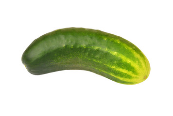 Green cucumber gherkin