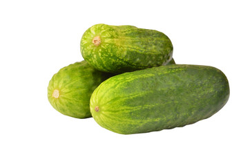 Green cucumber gherkin