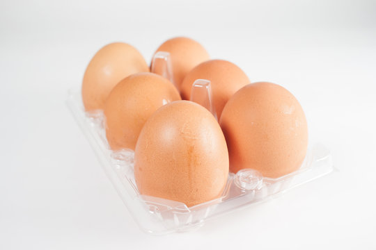 Egg in plastic tray on white background