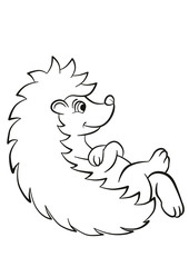 Little cute kind hedgehog sits and smiles.