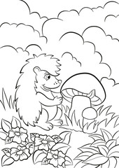 Little cute hedgehog sees the big mushroom.