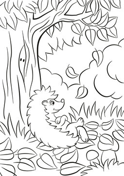 Little cute kind hedgehog sits near the tree and smiles.