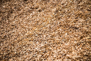 Hard wood mulch