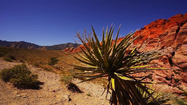 Awesome view of Red Rock Canyon in Nevada  - LAS VEGAS, NEVADA/USA 