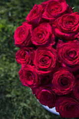 Bouquet of red roses in a box on the grass