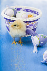 Yellow chickens and easter eggs