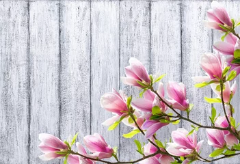 Zelfklevend Fotobehang Magnolia bloemen op achtergrond van armoedige houten planken © julia_arda