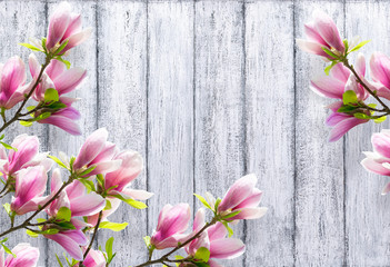 Fototapeta premium Magnolia flowers on background of shabby wooden planks