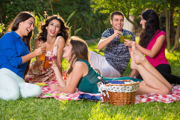 Small group of smiling friends having picnic.