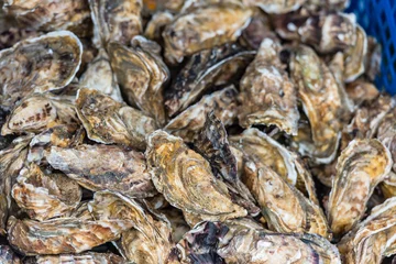 Gordijnen Oysters market in Cancale, France © dvoevnore