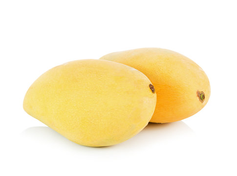 mango fruit on white background