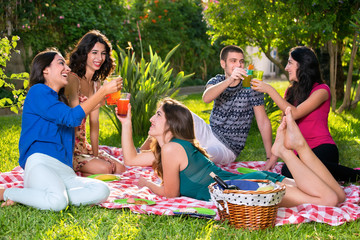 Friends toasting on a sunny day in the park.