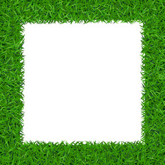 Green grass frame with copy-space. Square border template isolated on white background. Abstract plant texture. Symbol of environment, nature, eco and fresh, ecology Organic design Vector Illustration