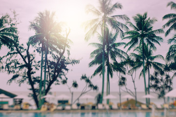 Fototapeta na wymiar Sunset at a Coastline with Palm Trees