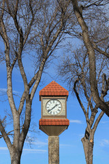 Clock tower framed by trees.