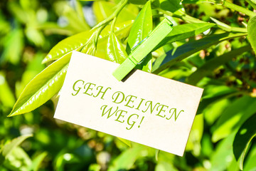 Geh deinen Weg