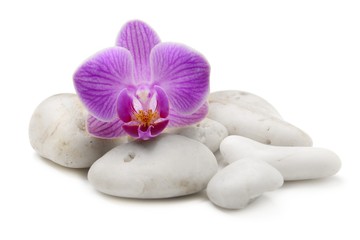 Obraz na płótnie Canvas zen basalt stones and pink orchid