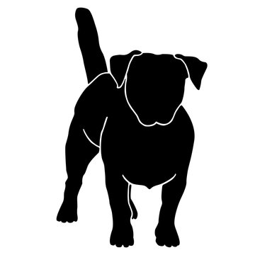 Terrier dog black silhouette