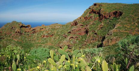 Montes de Anaga,Tenerife, îles Canaries, Espagne