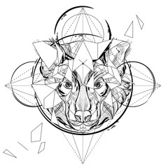 Obraz premium Animal head triangular icon , geometric trendy line design. Vector illustration ready for tattoo or coloring book. Wolf head low-poly sketch.