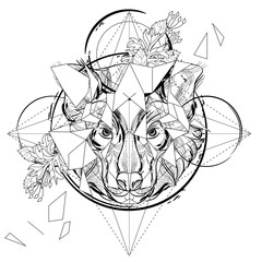 Fototapeta premium Animal head triangular icon , geometric trendy line design. Vector illustration ready for tattoo or coloring book. Wolf head low-poly sketch.