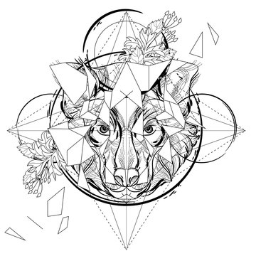 Animal head triangular icon , geometric trendy line design. Vector illustration ready for tattoo or coloring book. Wolf head low-poly sketch.