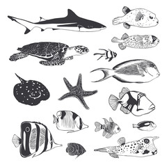 Collection of sea and ocean inhabitants. Fish, turtle, shark. Bl