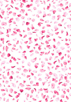 Pink cherry petals background.
