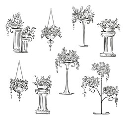 Flower decorations. Vector sketch