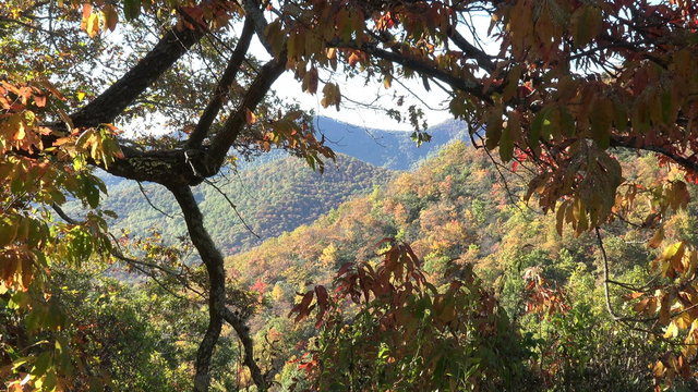 Zoom into view of mountains in the fall from Blue Ridge Parkway road, Asheville, NC, USA