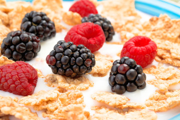 blackberries and raspberries in bowl of cereal with milk