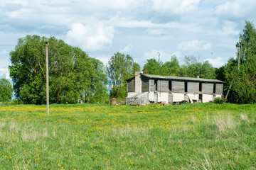 Fototapeta na wymiar countryside buildings in summer