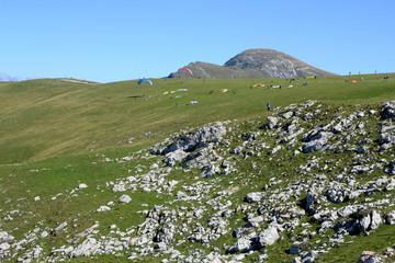 Italy, Monte Baldo, paraplane